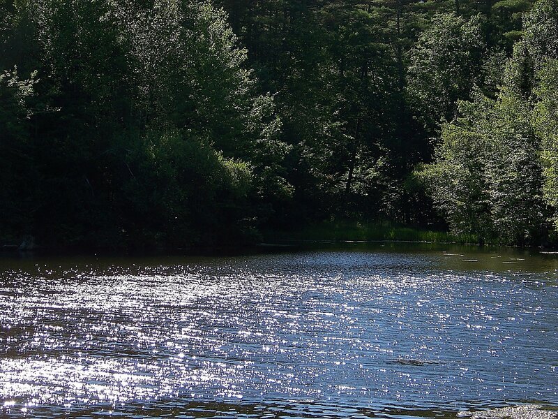 Sparkling Lake Surface