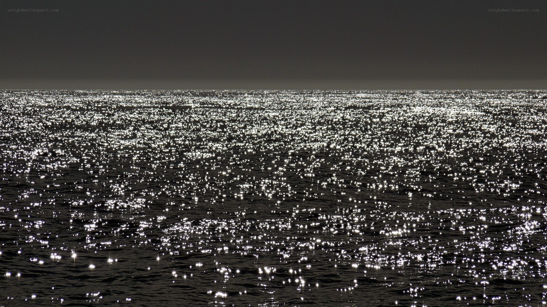 sparkling ocean at night