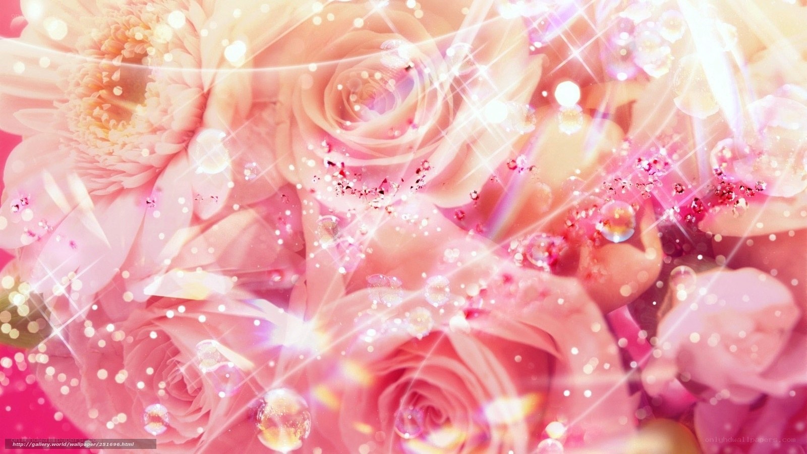 sparkling pink roses