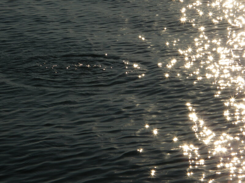Sparkling Water Surface — Black