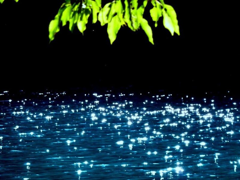 Sparkling Water Surface — Blue, Serene
