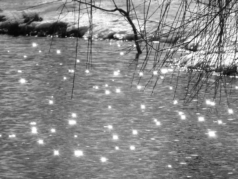 Sparkling water under bare branches
