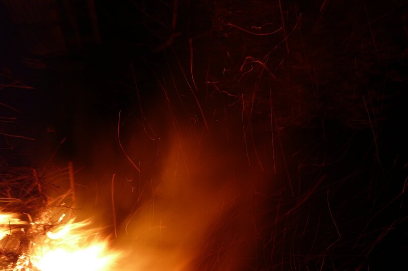 Sparks from a campfire