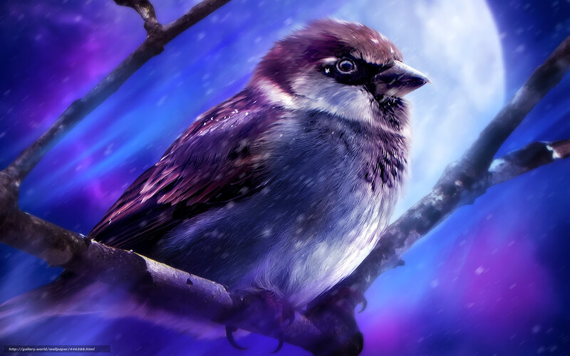 Sparrow on a Branch — Blue