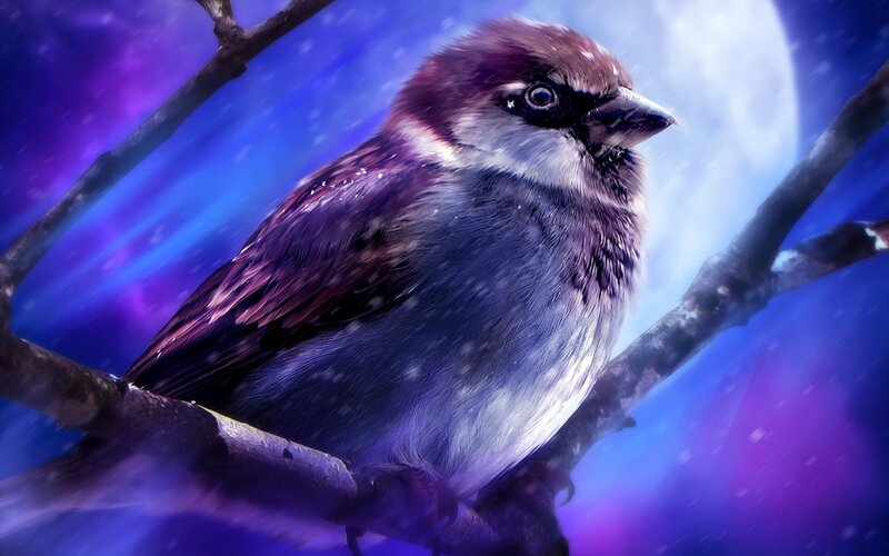 Sparrow on a Branch — Purple, Dramatic