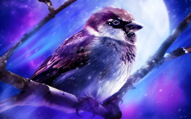 Sparrow on a Branch — Purple