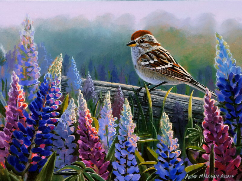 Sparrow on a Log