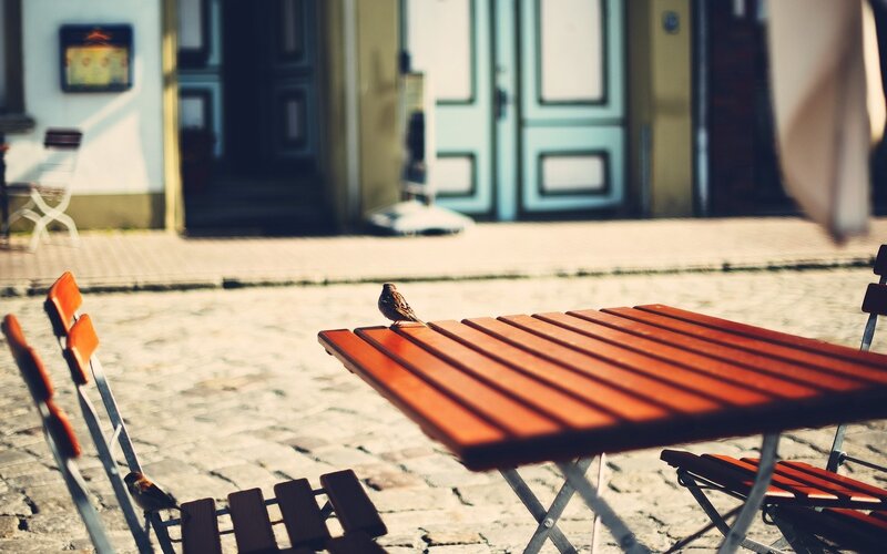 Sparrow on Table