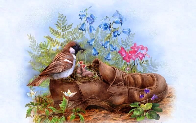 Sparrow with Chicks