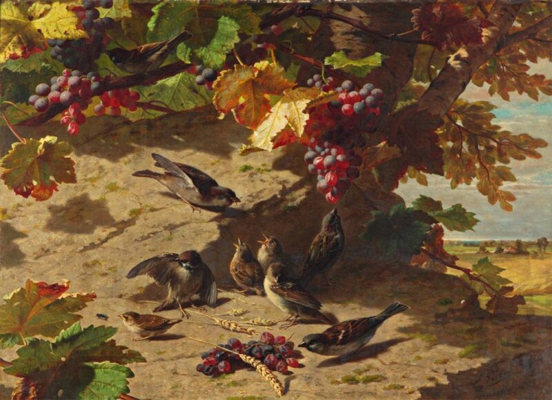 Sparrows Eating Grapes