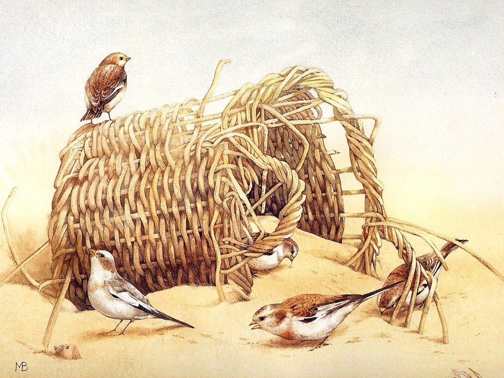 Sparrows near a woven basket