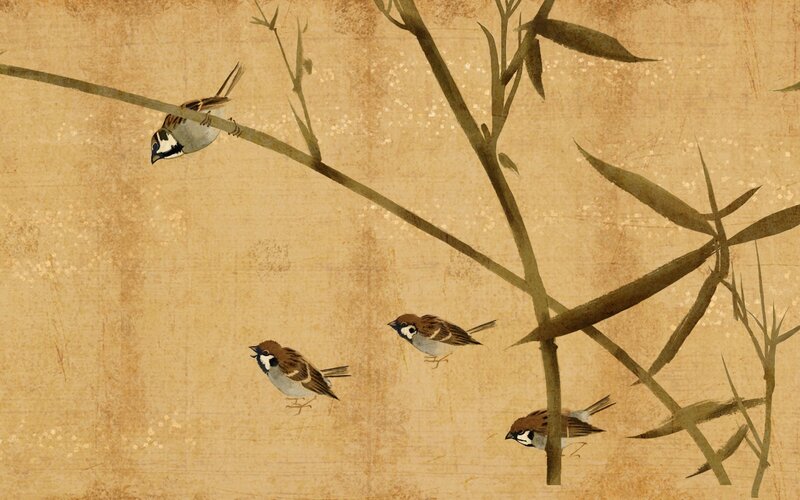 Sparrows on bamboo branches