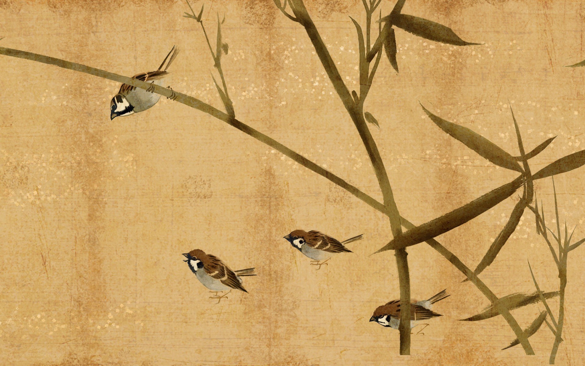 Sparrows on bamboo branches