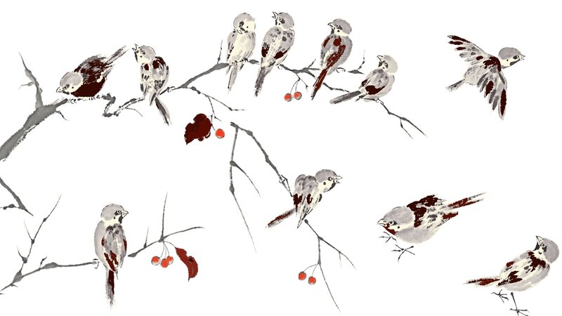Sparrows on Branches — Gray, Calm