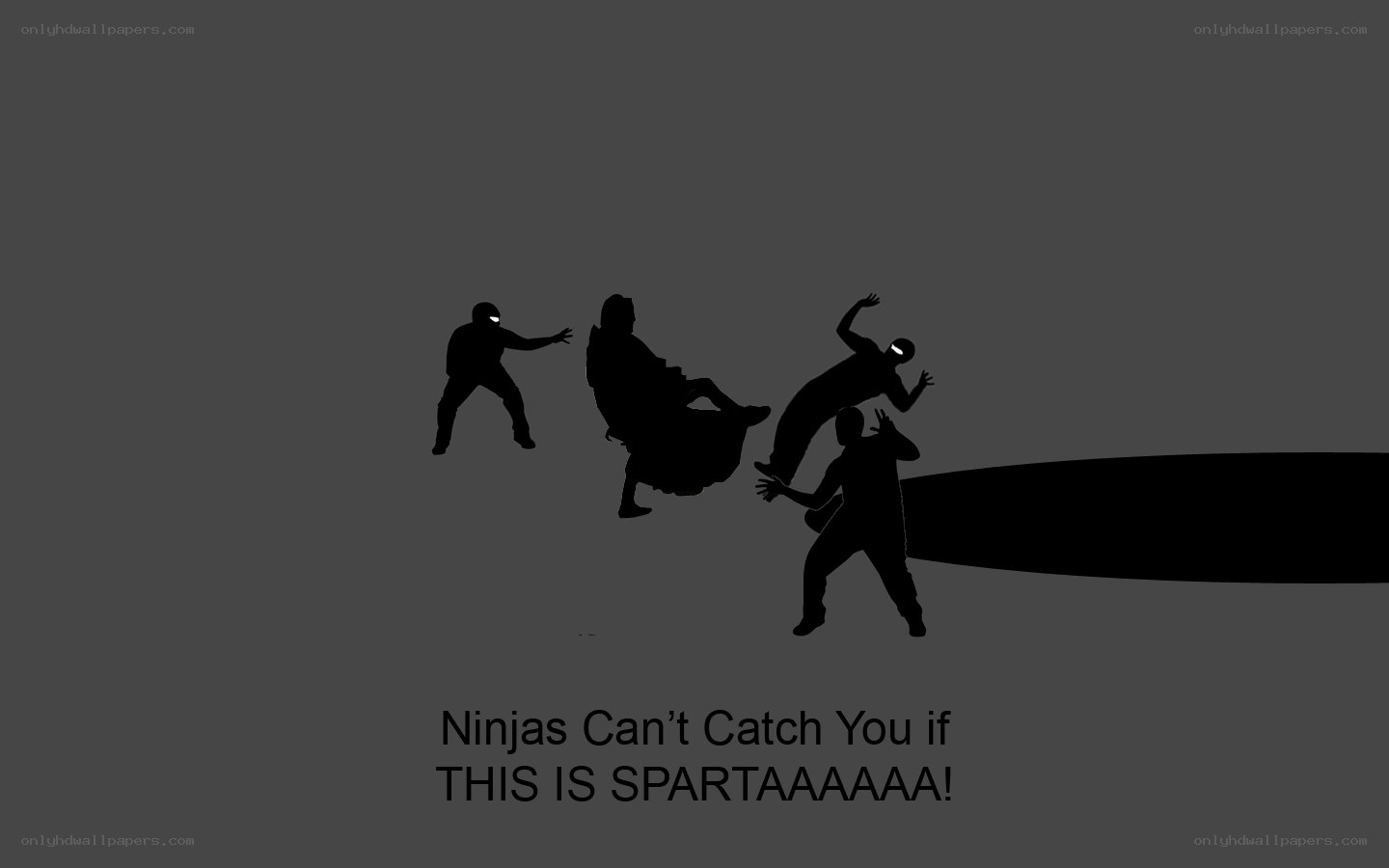 Sparta vs Ninjas