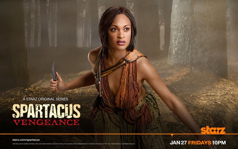 Spartacus: Vengeance promotional poster