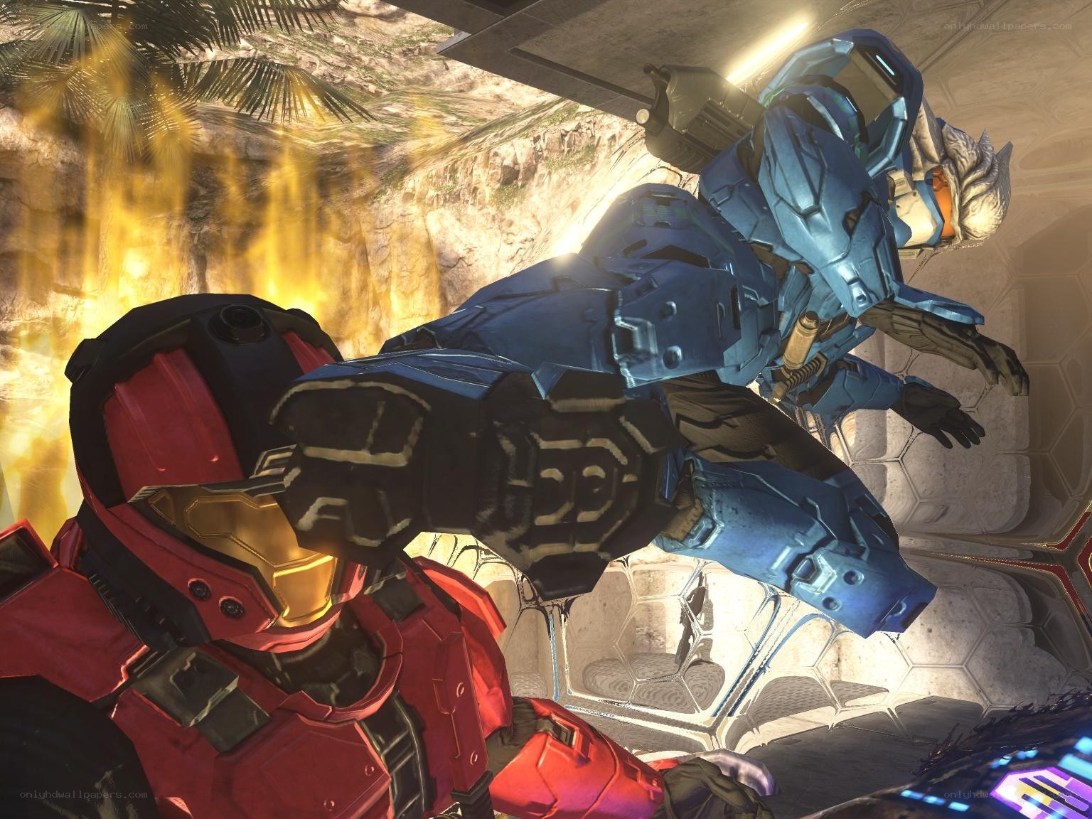 Spartan combat in a canyon
