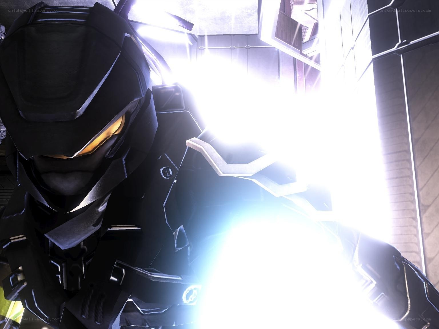 spartan in bright light