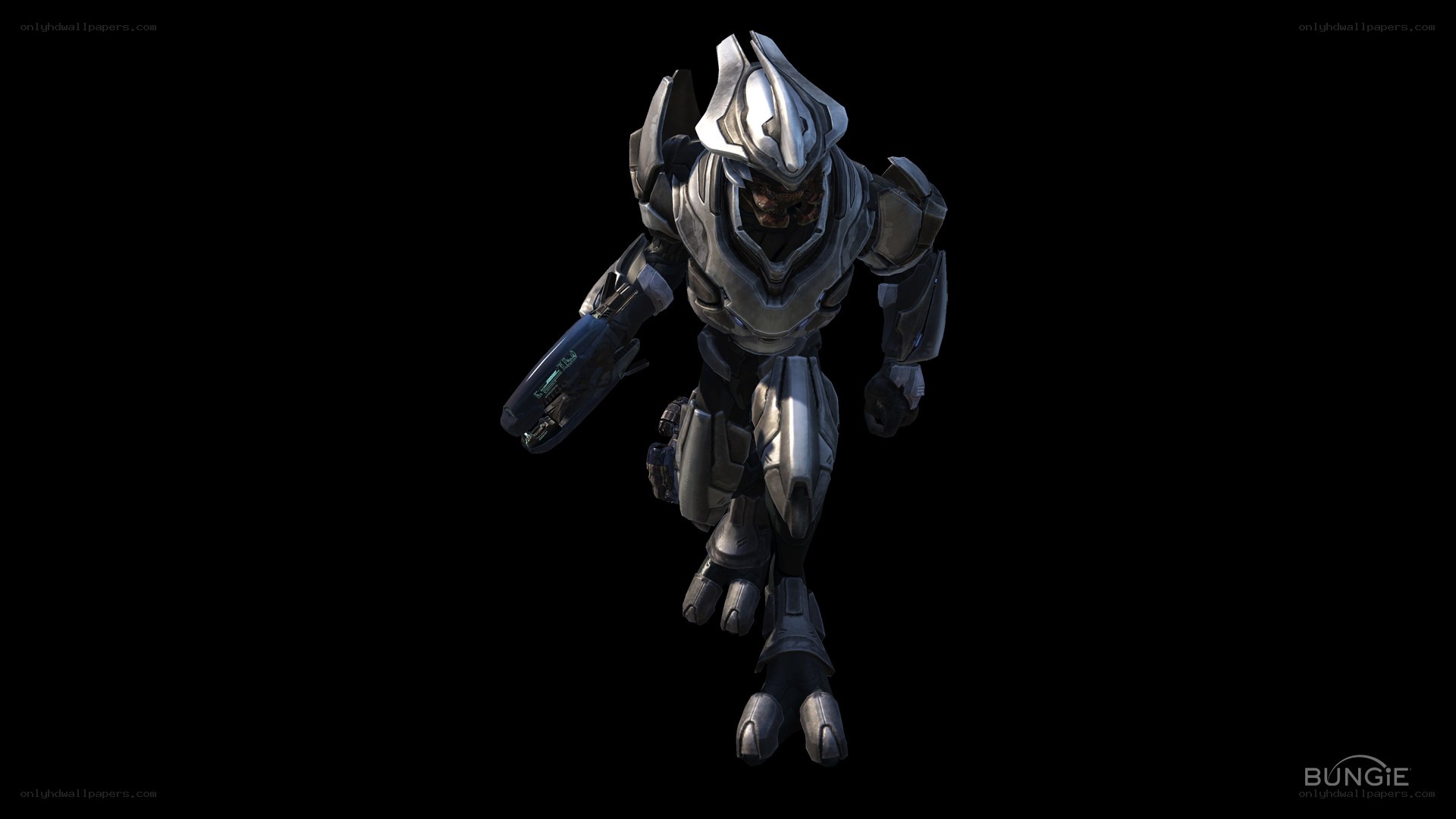 Spartan in combat armor