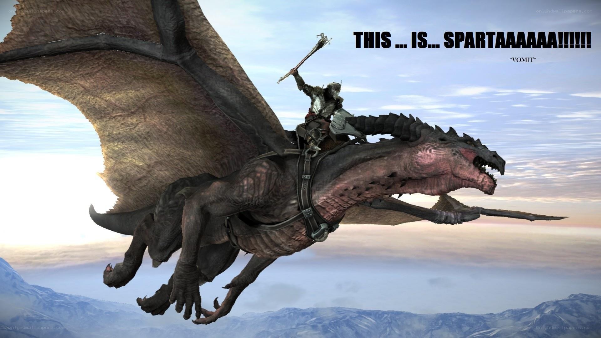 Spartan on a dragon