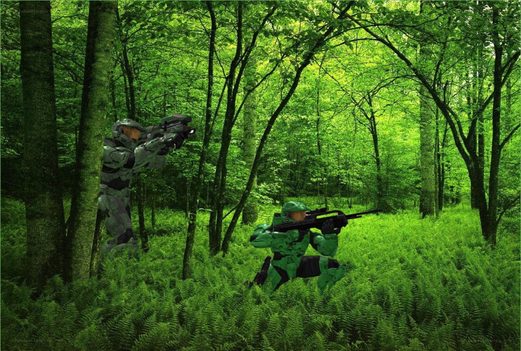 Spartans in forest combat