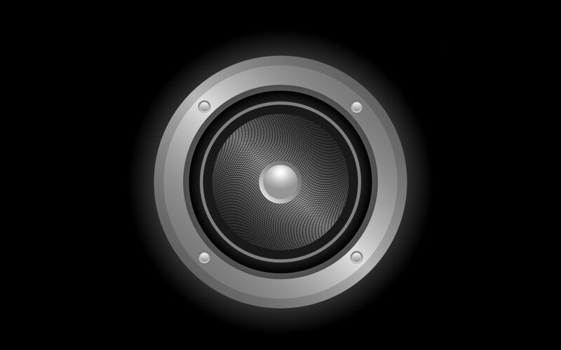Speaker Cone