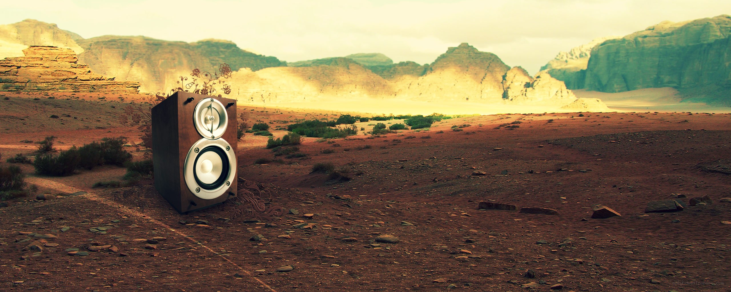 speaker in desert landscape