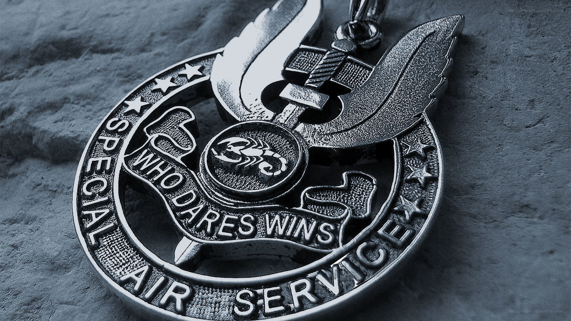 Special Air Service medal