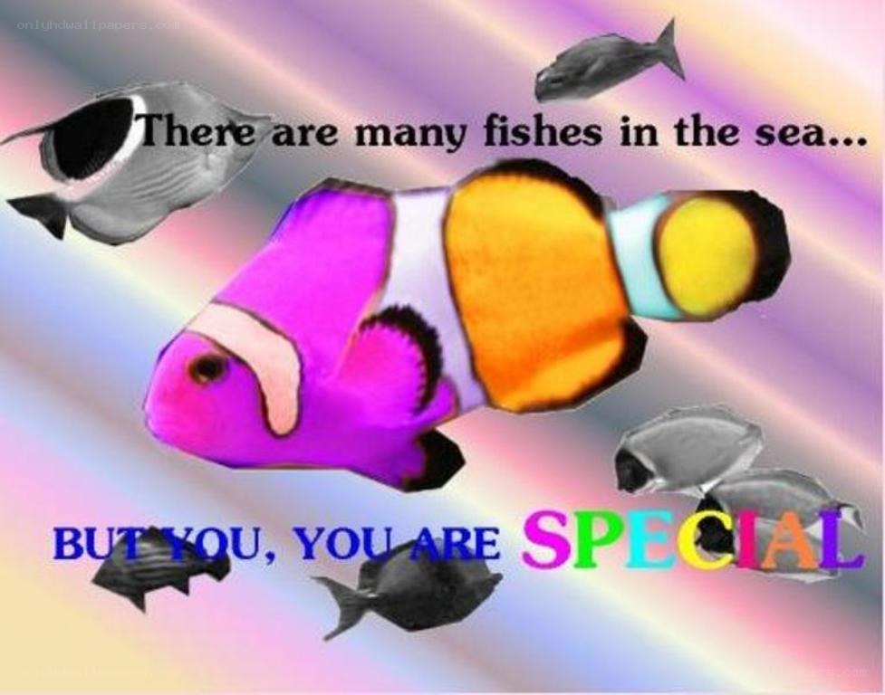 special fish in the sea