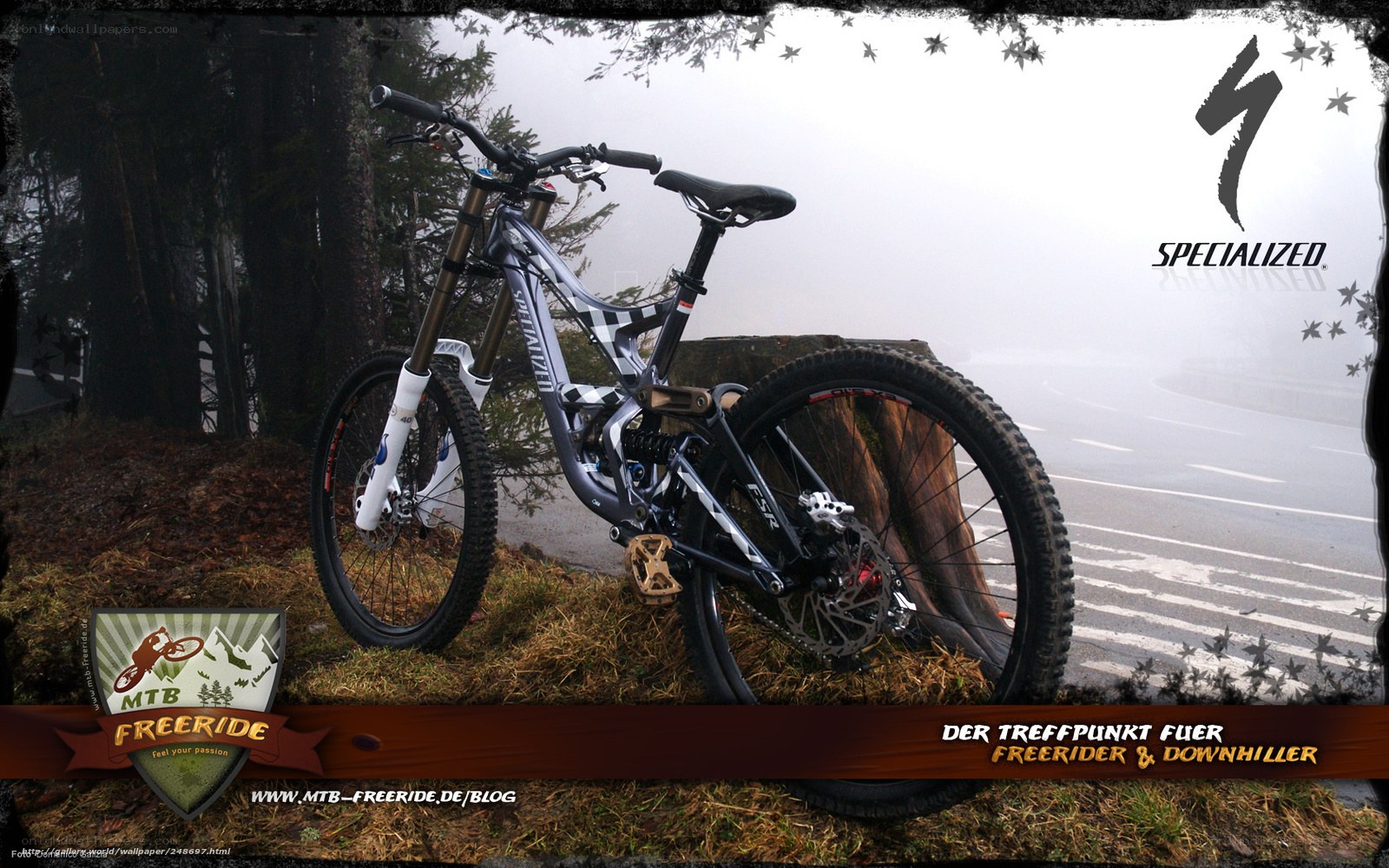 Specialized mountain bike in fog