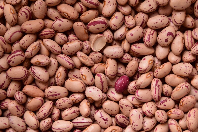 speckled beans close-up