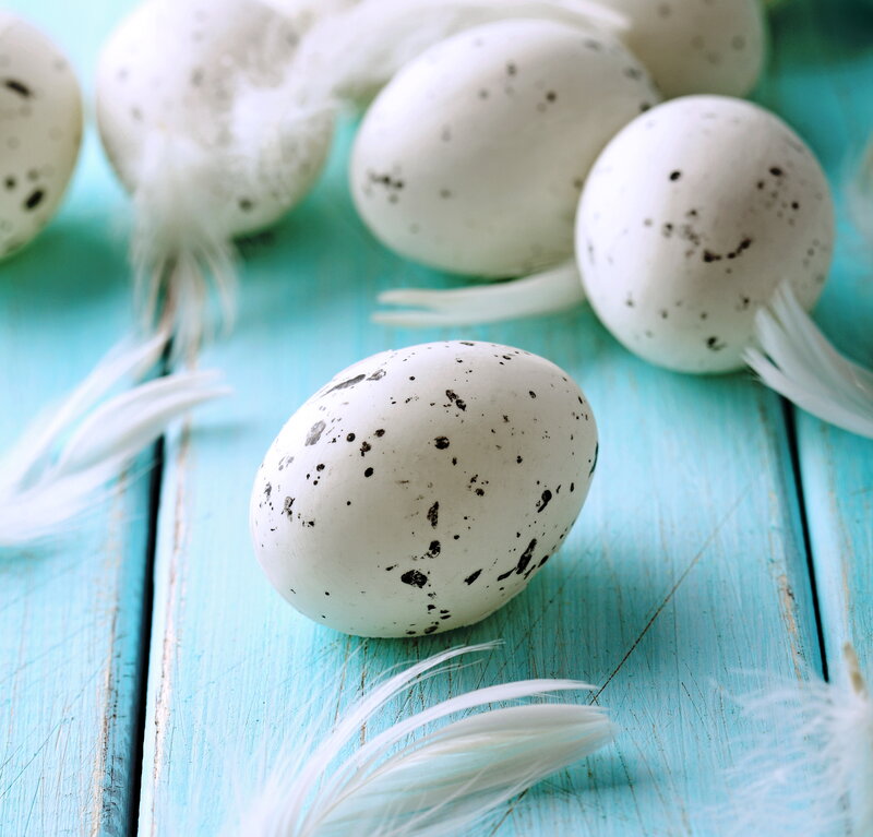 Speckled Bird Eggs