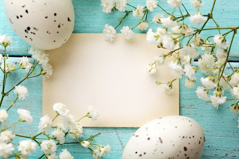 Speckled Eggs and Flowers