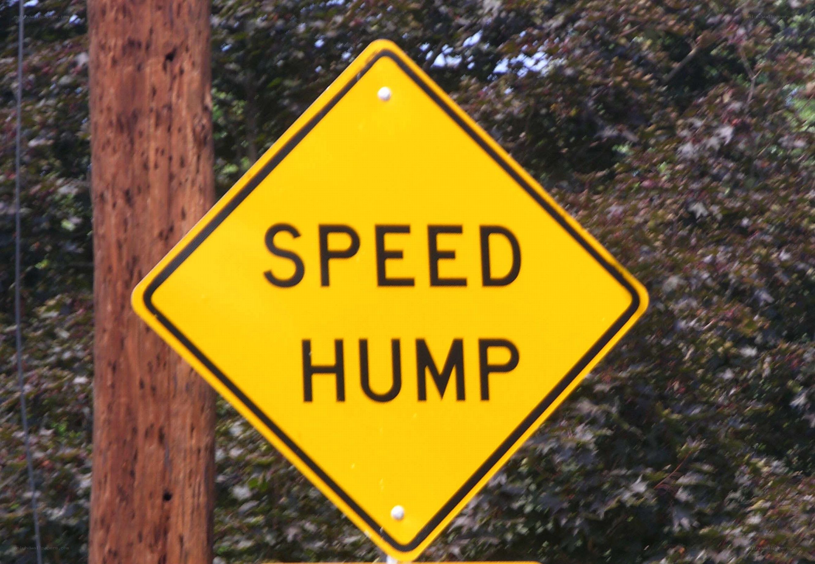 Speed Hump Warning Sign