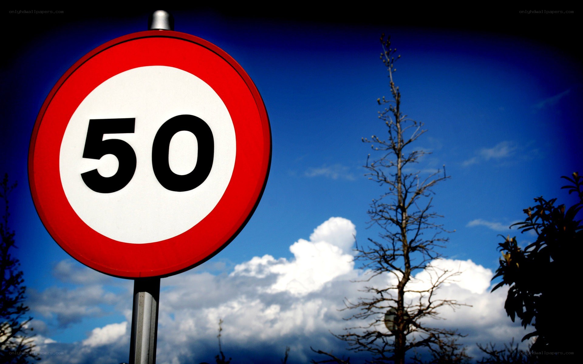 Speed limit sign against blue sky