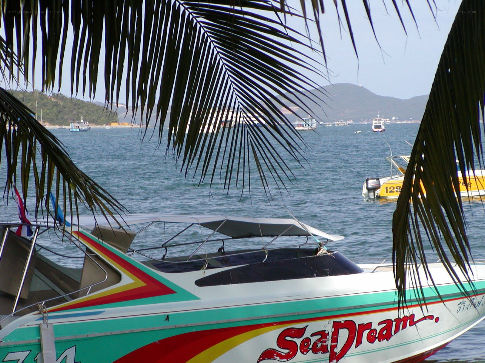 Speedboat at tropical harbor