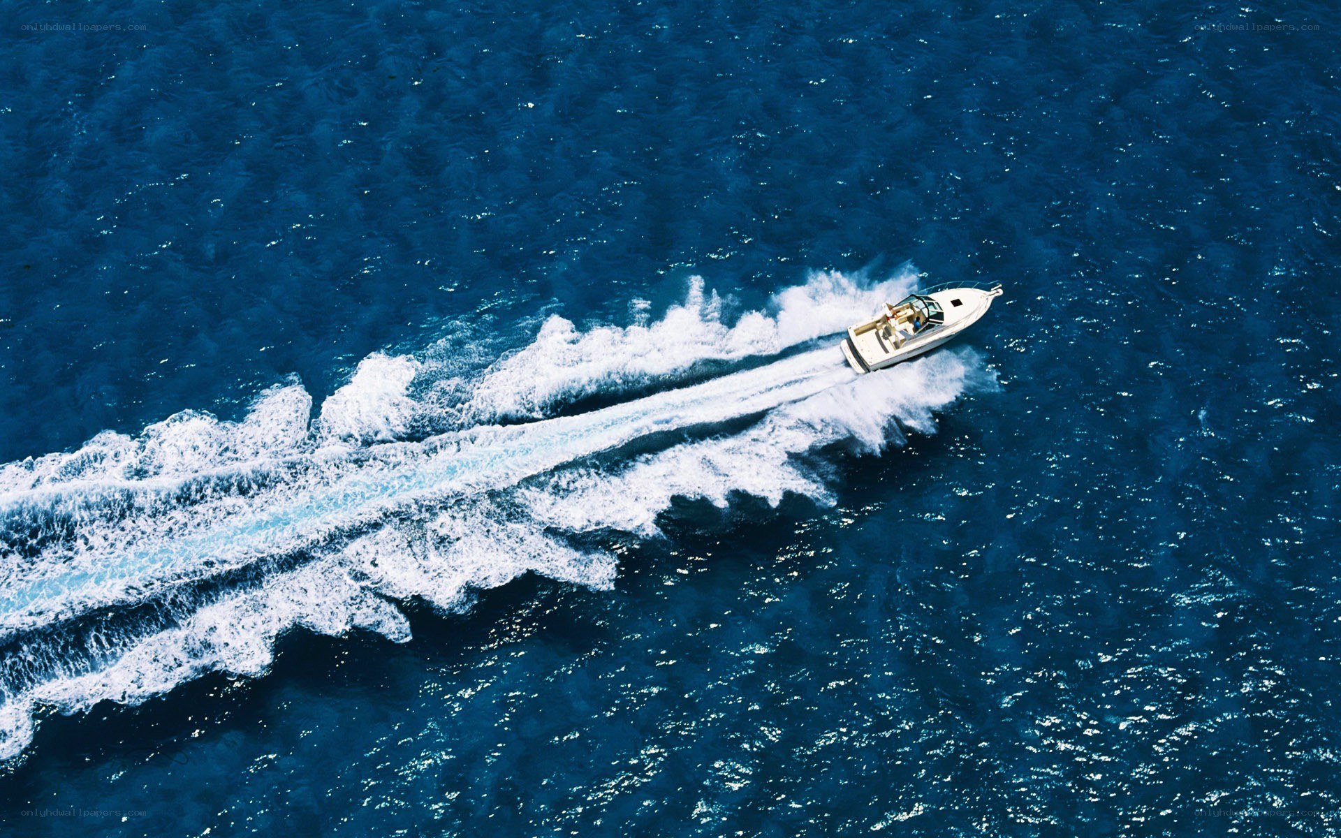 Speedboat on open water