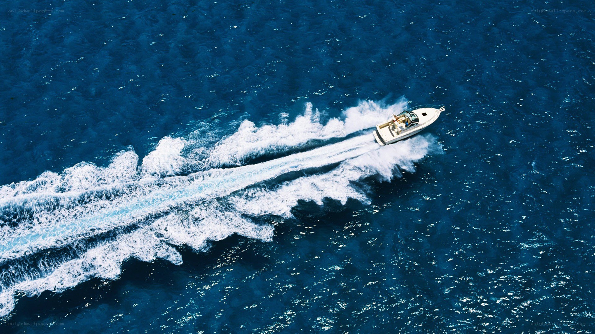 Speedboat on open water