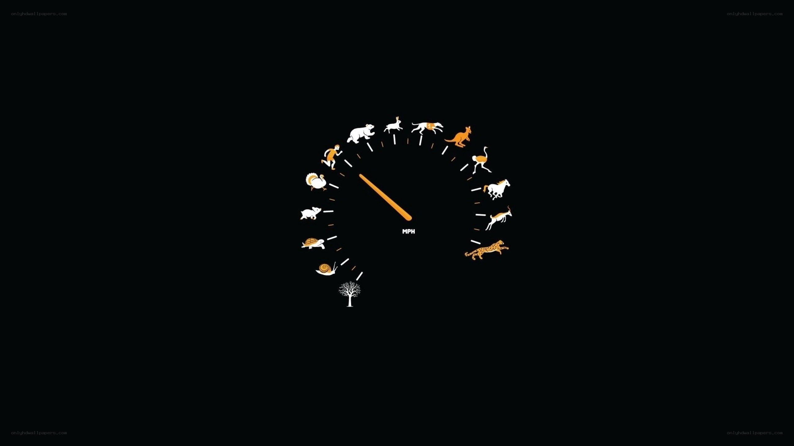 speedometer with animals