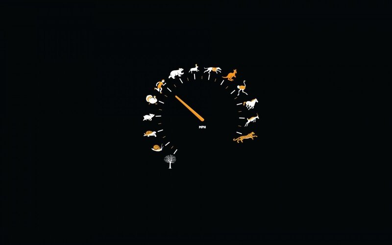 Speedometer with Animals — Black, Minimalist, Illustration