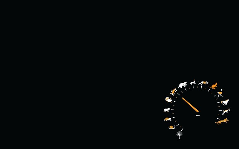Speedometer with Animals — Black, Minimalist, Illustration, Tree, White, Orange