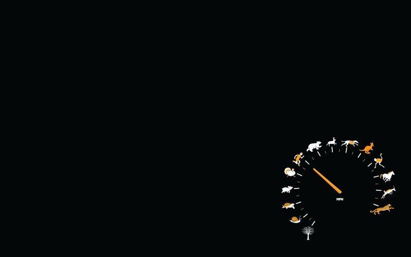 Speedometer with Animals — Black, Minimalist, Illustration, Tree, White