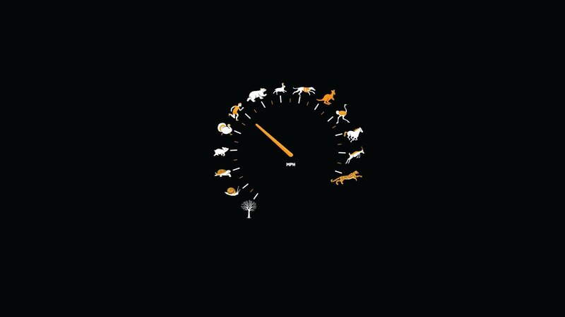Speedometer with Animals — Black, Minimalist