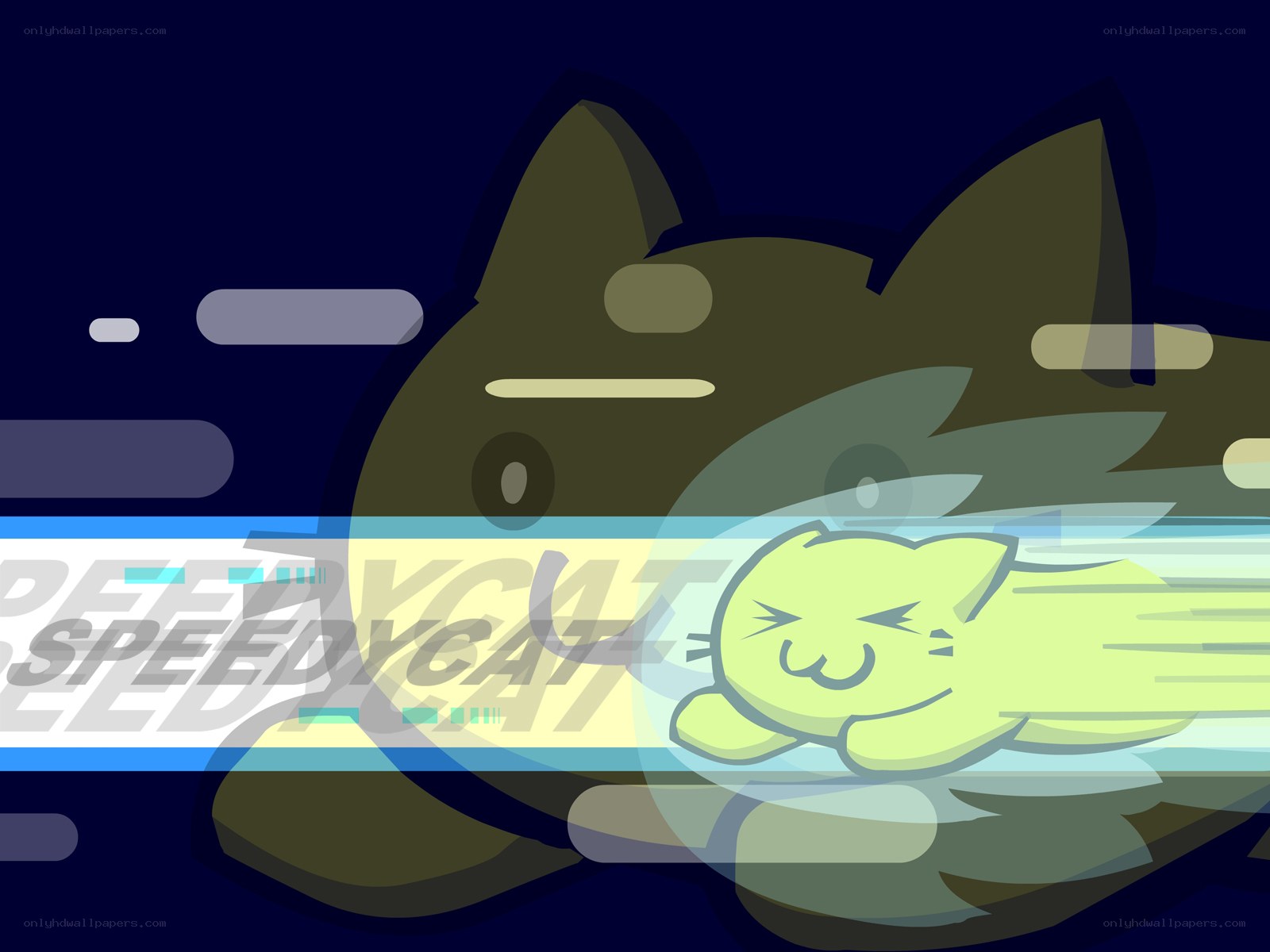 Speedy Cat animation