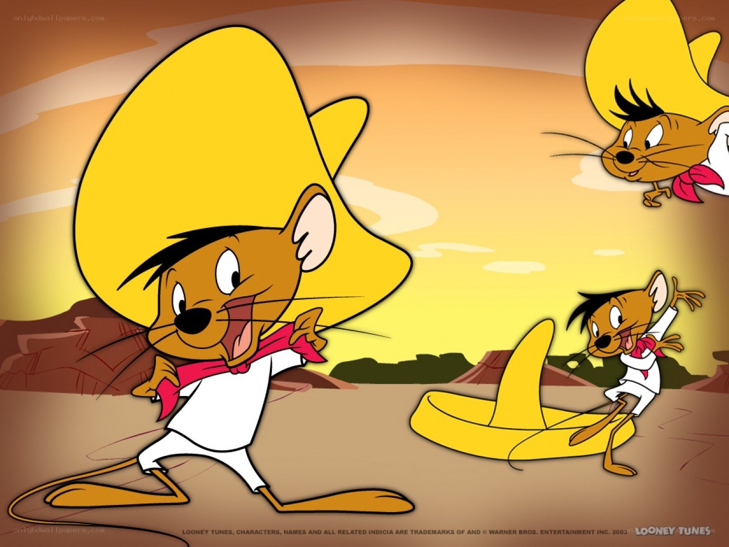 Speedy Gonzales in the desert
