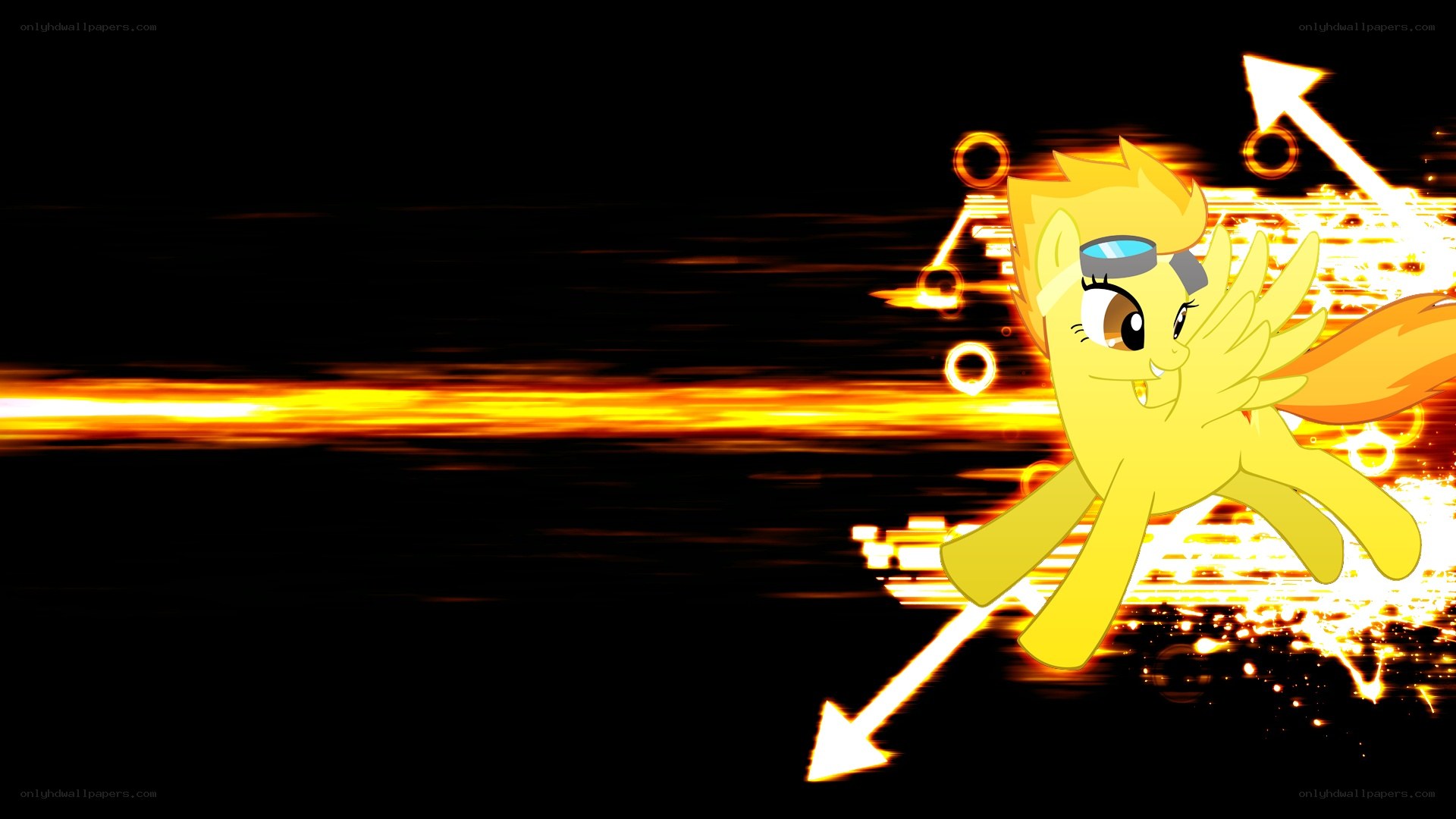 Speedy yellow pony in motion
