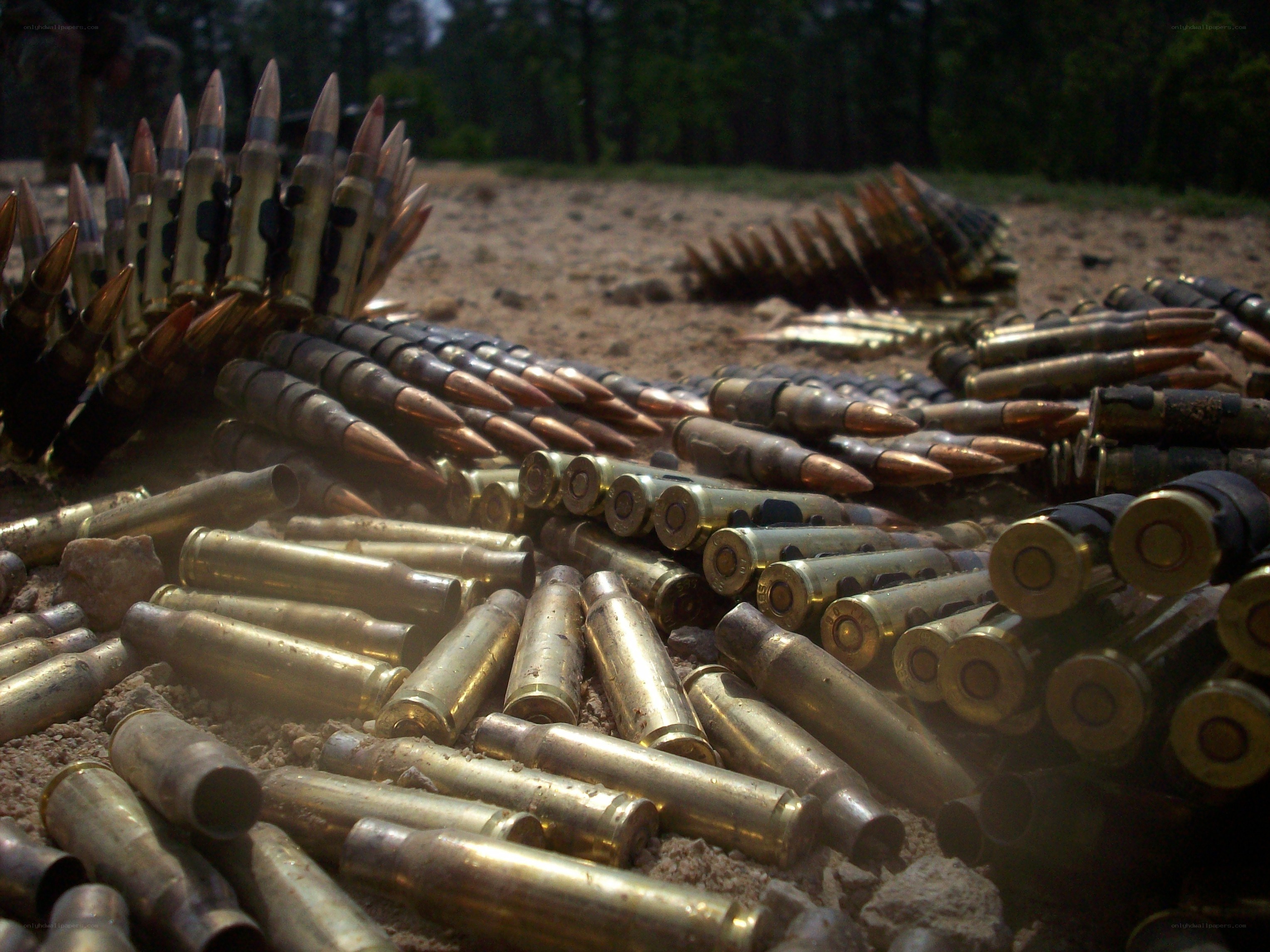 Spent ammunition casings on ground