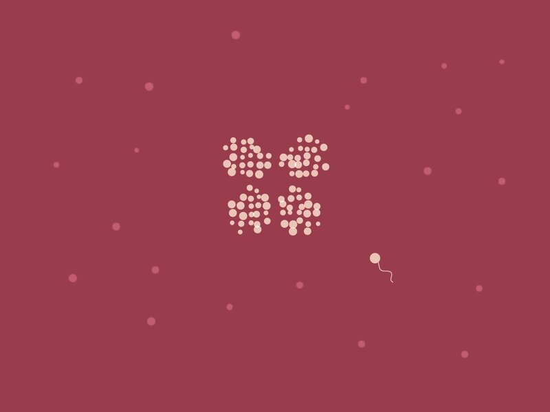 sperm approaching egg cells
