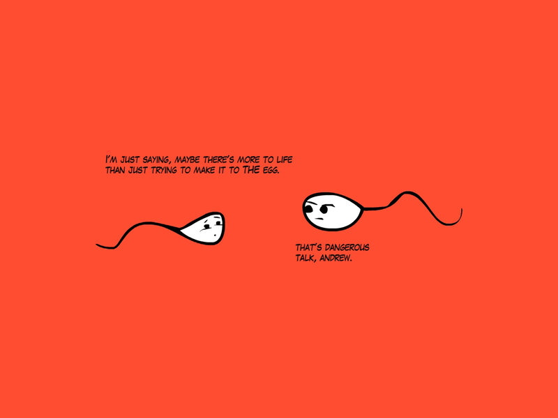 sperm cell conversation