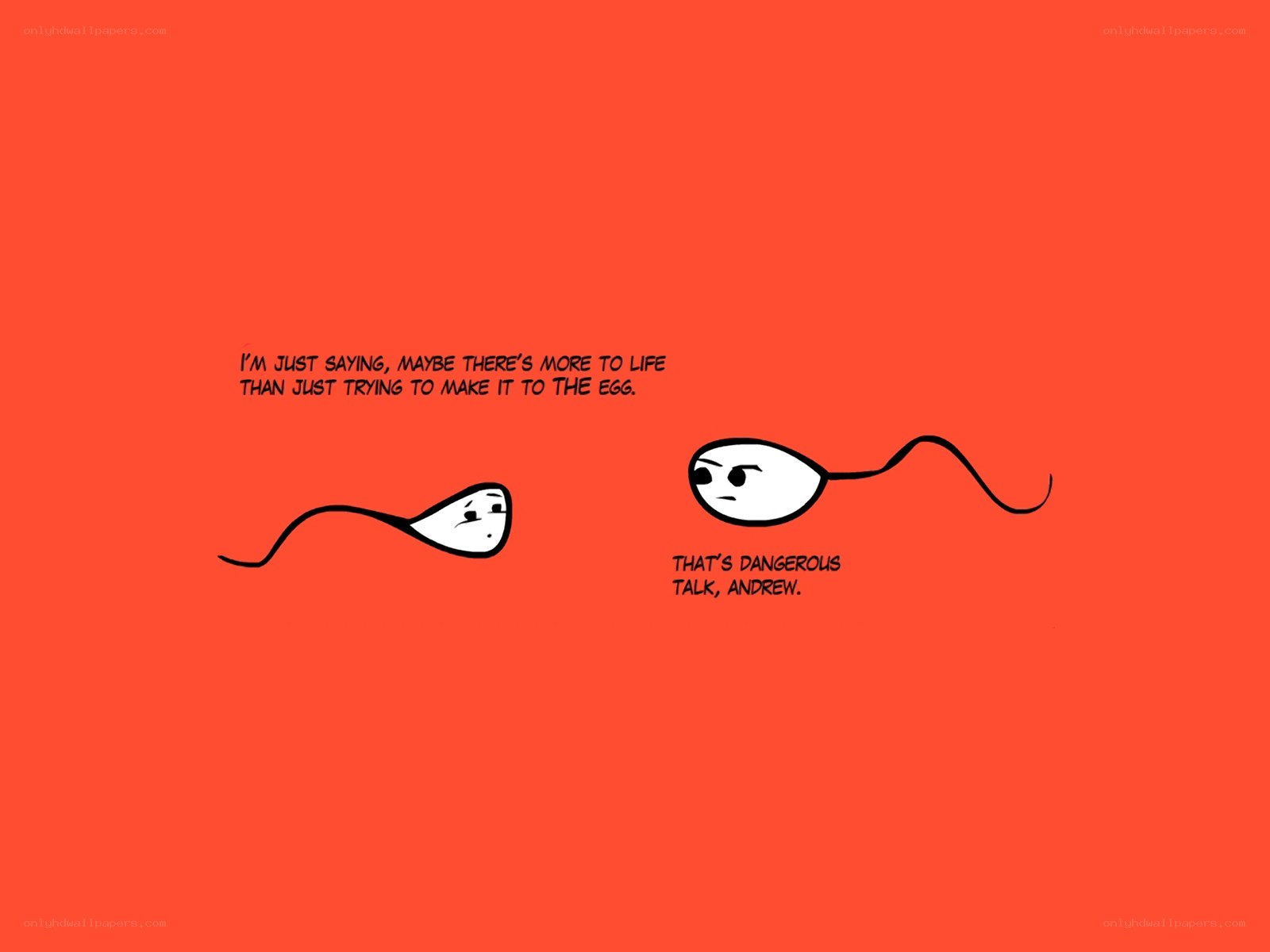 sperm cell conversation